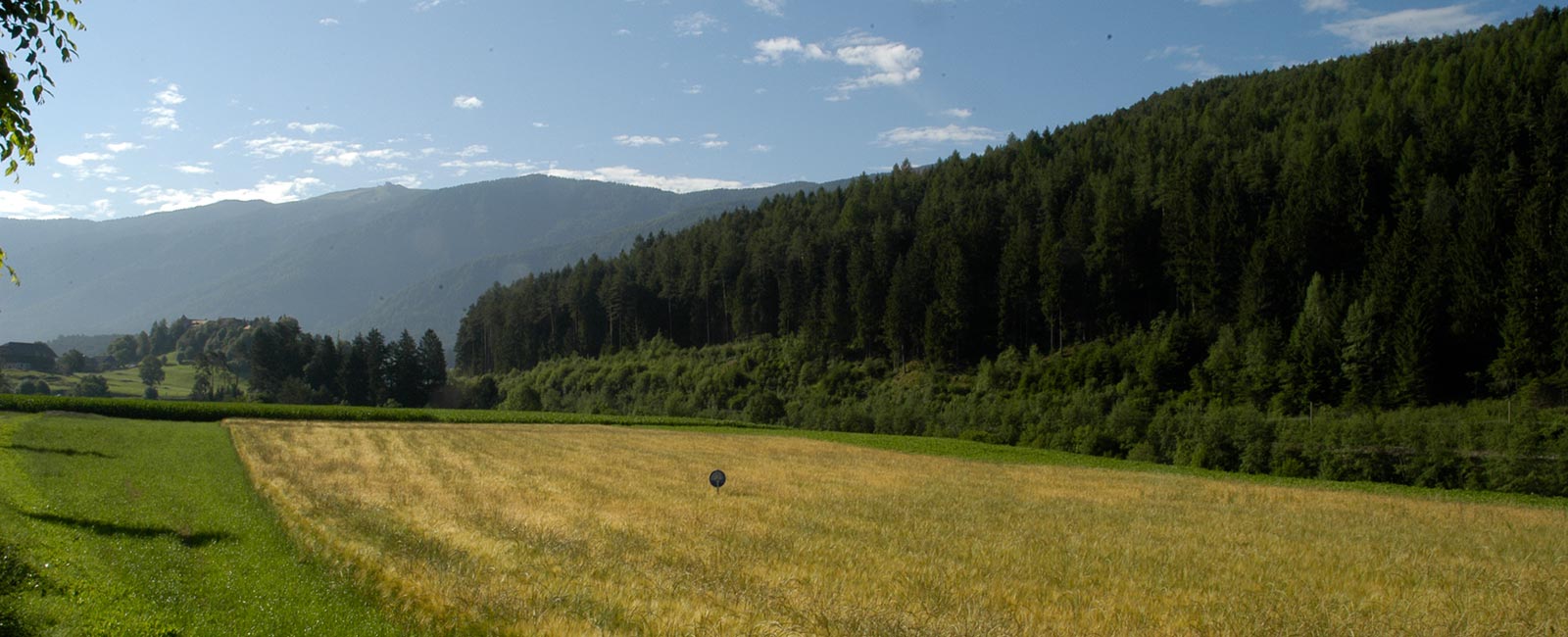 Birra dell´Alto Adige