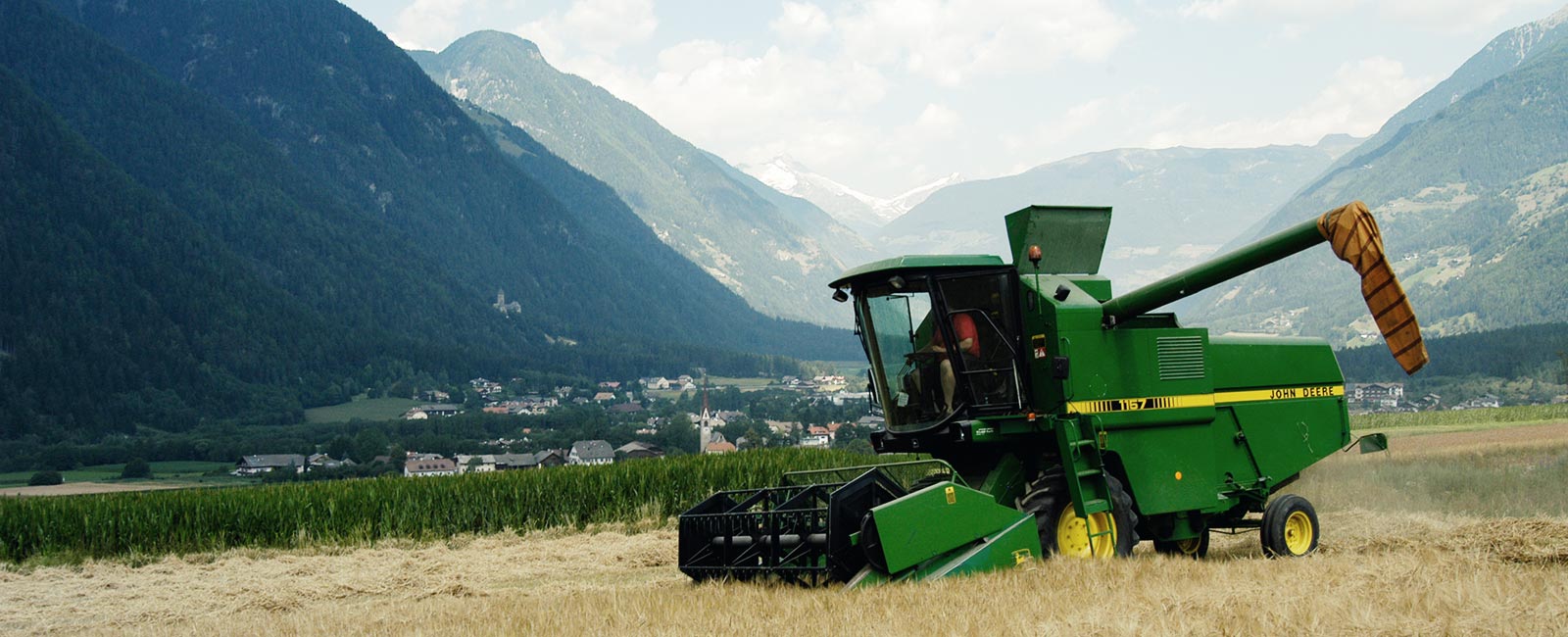 Produzione della birra